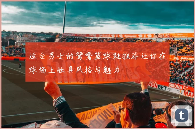 适合男士的鸳鸯篮球鞋推荐让你在球场上独具风格与魅力